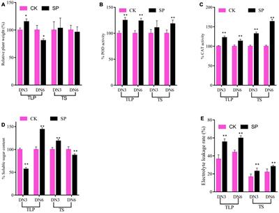 Metabolomics Analysis in Different Development Stages on SP0 Generation of Rice Seeds After Spaceflight